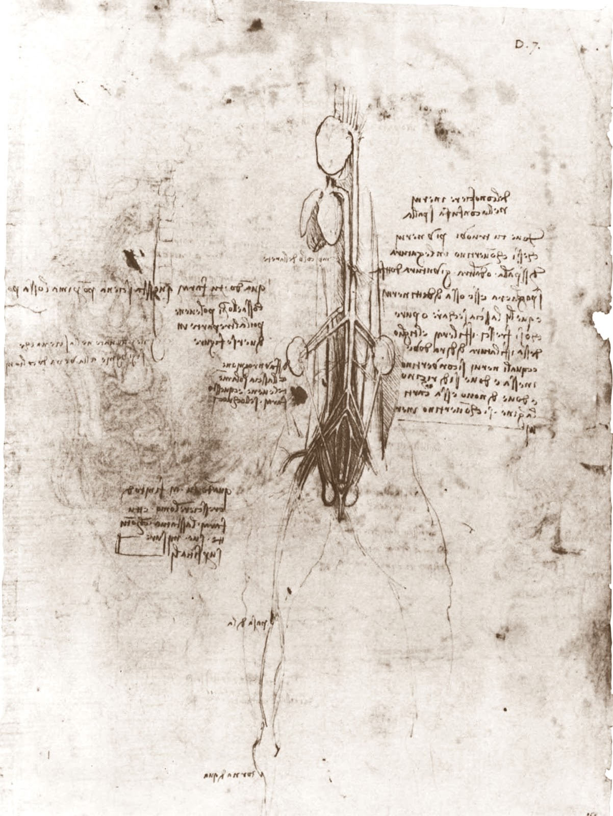 Leonardo+da+Vinci-1452-1519 (773).jpg